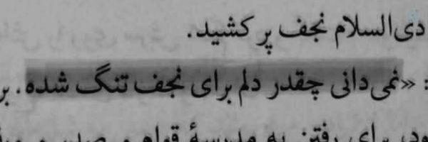 ‌🪽Nil‌'s header picture