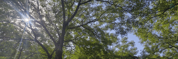 ‌مریم دائمی‌'s header picture