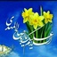 Profile picture of ‌Le Abbasi‌
