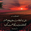 Profile picture of ‌محمدعلی ....‌