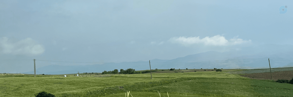 ‌سارا‌'s header picture