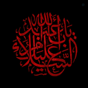 Profile picture of ‌محمد جواد افراخته‌