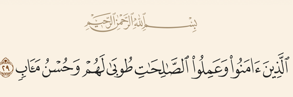 ‌حامد رضایی‌'s header picture