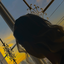 Profile picture of ‌At. Smaeilpour‌