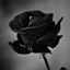 Profile picture of ‌سهیلا نورزاده یزدی‌