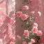 Profile picture of ‌Seyfi‌