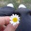 Profile picture of ‌Miss Baboneh‌