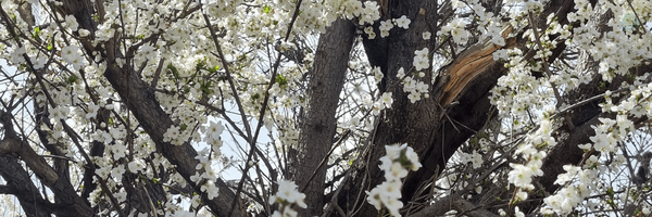 ‌🚩Nila Sf_zd🤚‌'s header picture