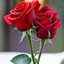 Profile picture of ‌امین h‌
