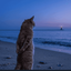 Profile picture of ‌Darya OFF‌