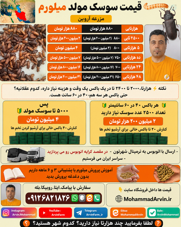 سوسک مولد میلورم ۱۸۲۶|۶۸۲|۰۹۱۲ قیمت سوسک میلورم خرداد ماه ارسال سراسر ایران 

ثبت سفارش پیامک، ایتا، واتـ.ساپ