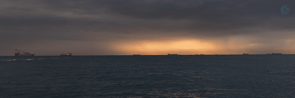 ‌Omid‌'s header picture