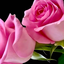 Profile picture of ‌محسن‌