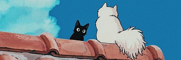 ‌Sarmim🧸‌'s header picture