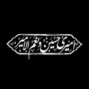Profile picture of ‌Hussein Tavakoli‌