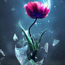 Profile picture of ‌امیر‌