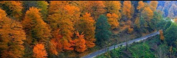 ‌fatemeh‌'s header picture