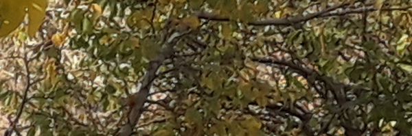 ‌F Khosrovpanah‌'s header picture