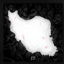 Profile picture of ‌Haj_Khadem‌