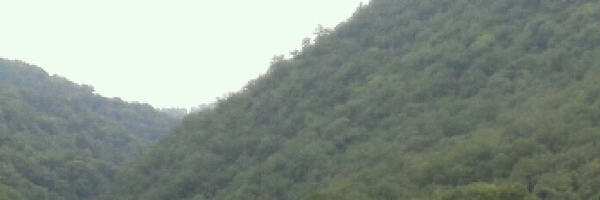 ‌Mr Chakhan‌'s header picture
