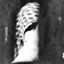 Profile picture of ‌ܩحܥ̣ߺ🇮🇷‌