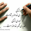 Profile picture of ‌Zahra M‌