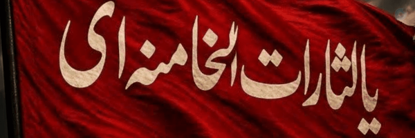 ‌سید علی حسینی‌'s header picture