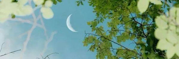 ‌Fatemeh Gh‌'s header picture