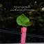 Profile picture of ‌leila rabiee‌