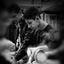 Profile picture of ‌مخمور🎒‌