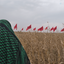 Profile picture of ‌سارا محمدی‌