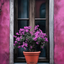 Profile picture of ‌Vida‌