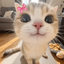 Profile picture of ‌نینی‌گل 🎀‌