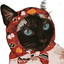 Profile picture of ‌⋆ Cherry lady ⋆‌