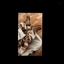 Profile picture of ‌𝐦𝐦𝐝‌
