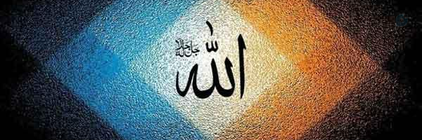 ‌z.rezaei‌'s header picture