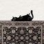 Profile picture of ‌•ســٰـادات•‌