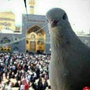 Profile picture of ‌اعظم خاکی‌