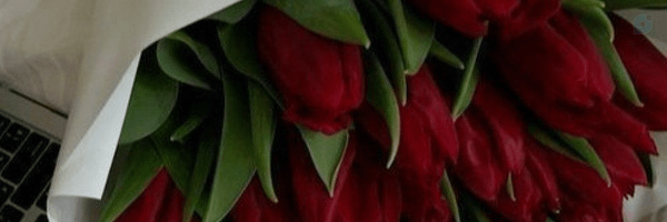 ‌پریا 🌵‌'s header picture