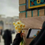 Profile picture of ‌zahra Shooli‌