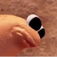 Profile picture of ‌𐬨𐬁𐬭𐬐𐬬𐬯/Marcos‌