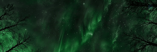 ‌Fariba‌'s header picture