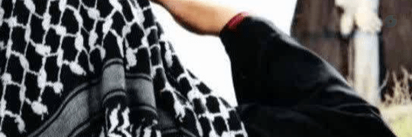 ‌فاطمه جعفری‌'s header picture