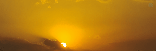‌رضا‌'s header picture