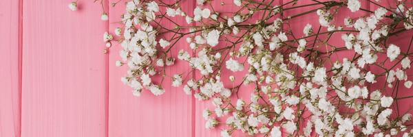 ‌Bita2‌'s header picture