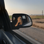 Profile picture of ‌محدثه  قاسمی‌