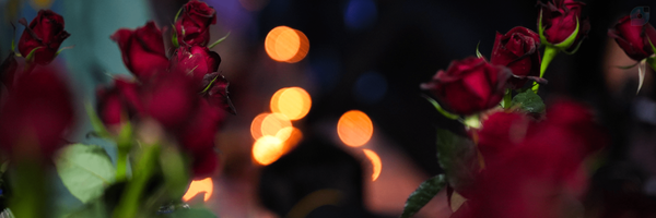 ‌𝓐𝓷𝓐 🩷‌'s header picture