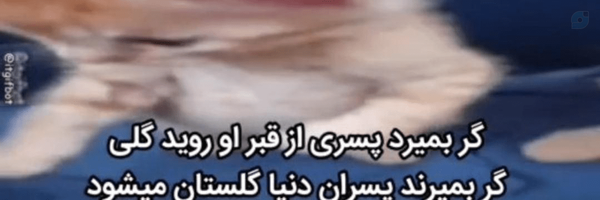 ‌شبنم‌'s header picture