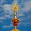 Profile picture of ‌محب¹¹⁰‌