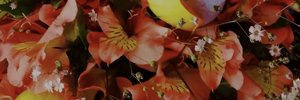 ‌Hamid Eskandar‌'s header picture
